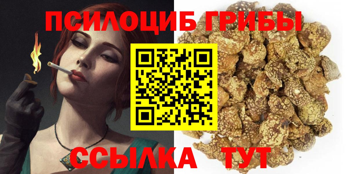 Галлюциногенные грибы прущие грибы Вязьма