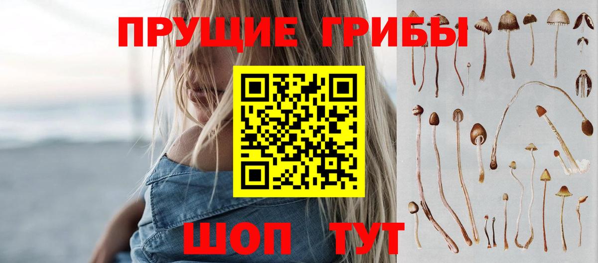 Псилоцибиновые грибы мицелий  Вход с VPN  Галлюциногенные грибы ЛСД  Вязьма 